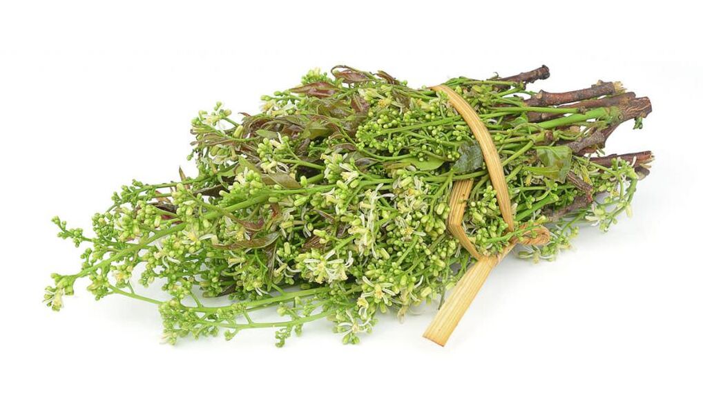 Herbs to get rid of onychomycosis